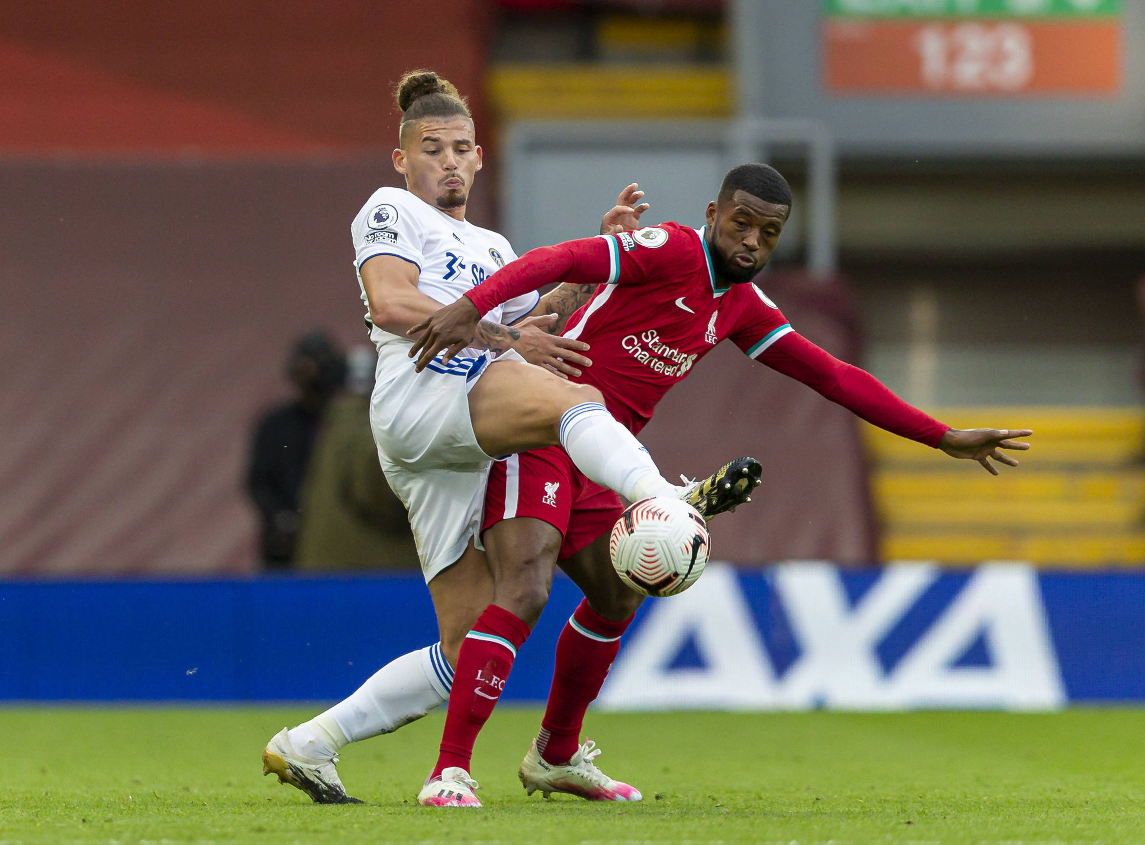 费迪南德在 费迪南德在