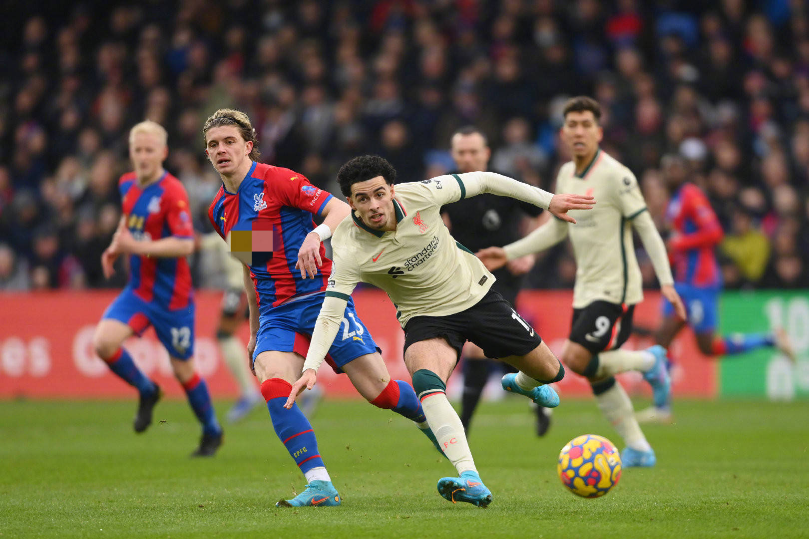 将在未来的 将在未来的